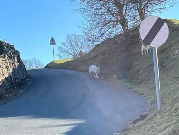 The Bridge Inn Reeth Luaran gambar