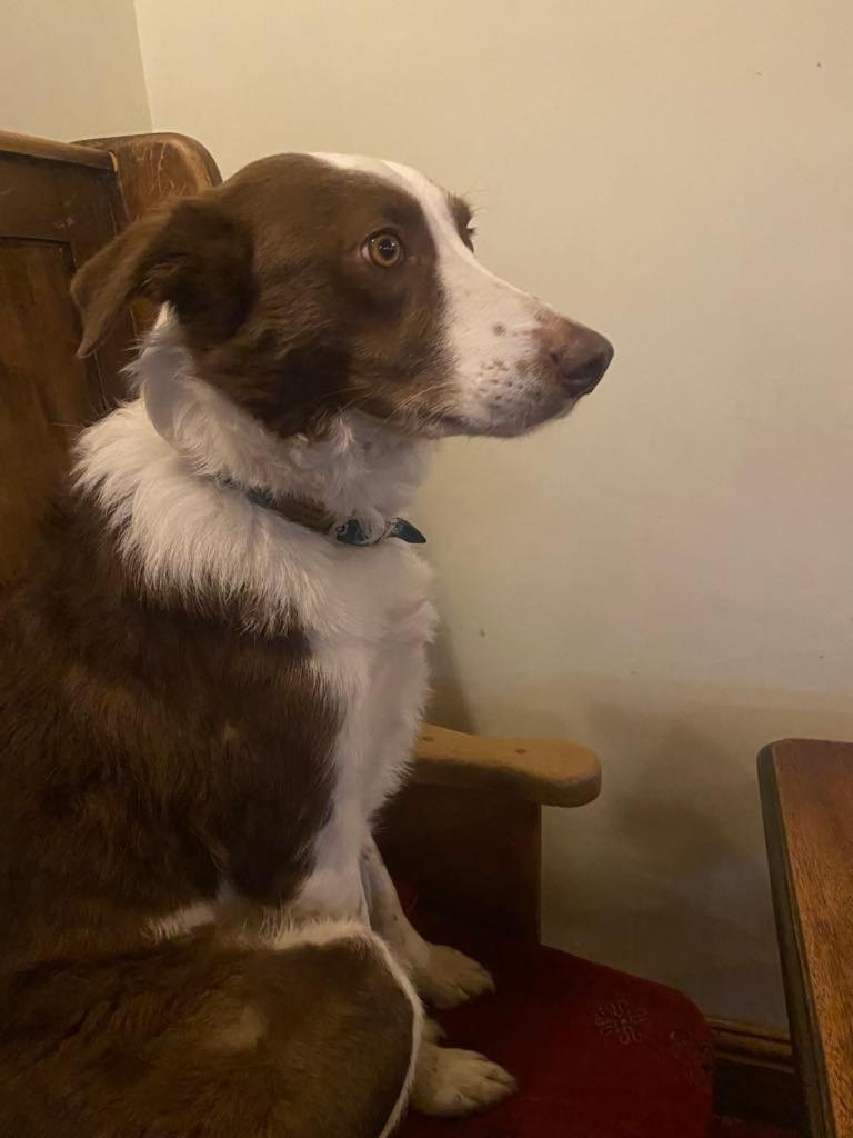 The Bridge Inn Reeth Luaran gambar