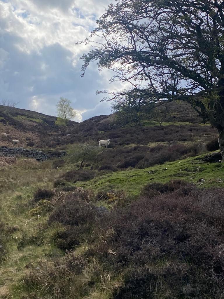 The Bridge Inn Reeth Luaran gambar